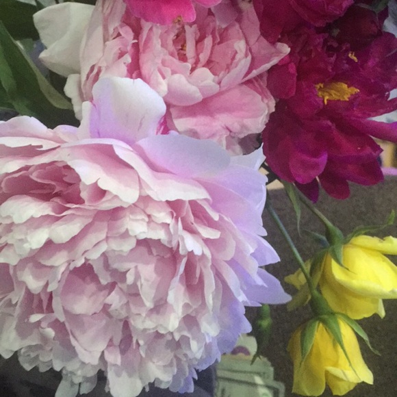 30%OFF on 2 OR MORE ITEMS - Picture 4 of 16